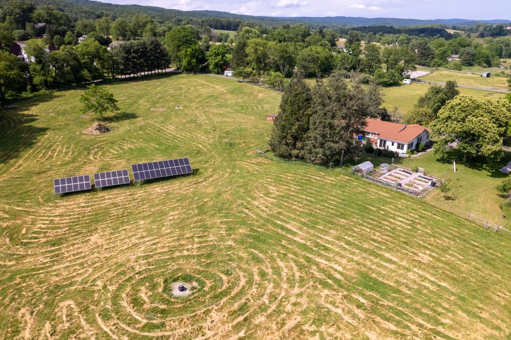 Image of solar array in a field with goats.